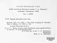 Septoria clematidis-rectae image